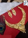 Big 2.5L Neck Set #009.webp
