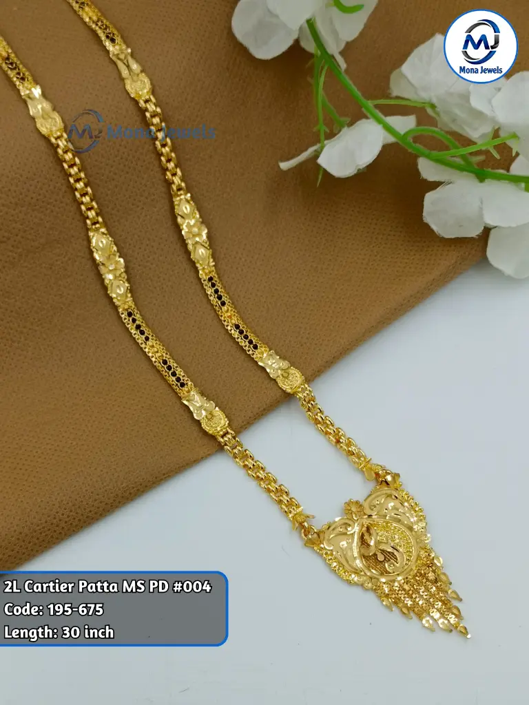 2L Cartier Patta MS PD #004.webp